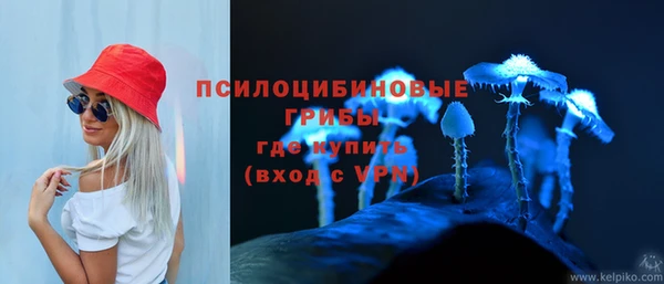 ГАЛЛЮЦИНОГЕННЫЕ ГРИБЫ Заводоуковск