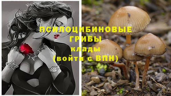 ГАЛЛЮЦИНОГЕННЫЕ ГРИБЫ Заводоуковск