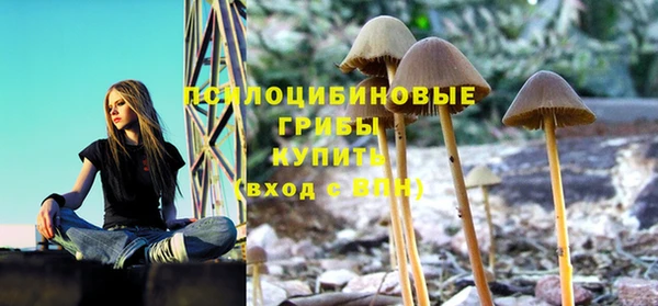 трава Заволжье