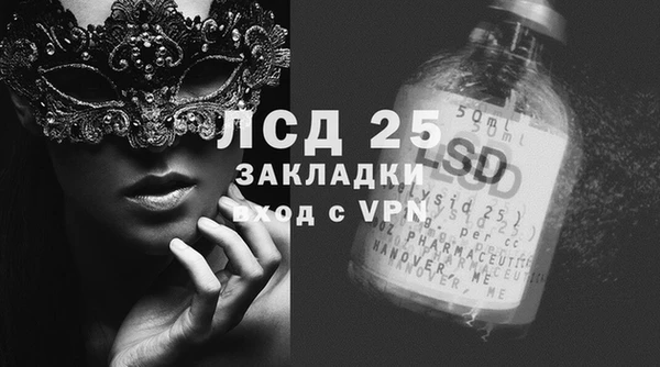 ГАЛЛЮЦИНОГЕННЫЕ ГРИБЫ Заводоуковск