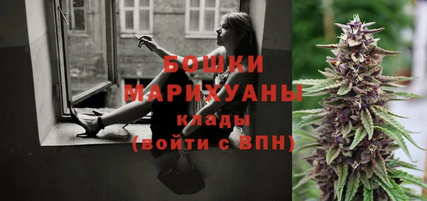 ГАЛЛЮЦИНОГЕННЫЕ ГРИБЫ Заводоуковск