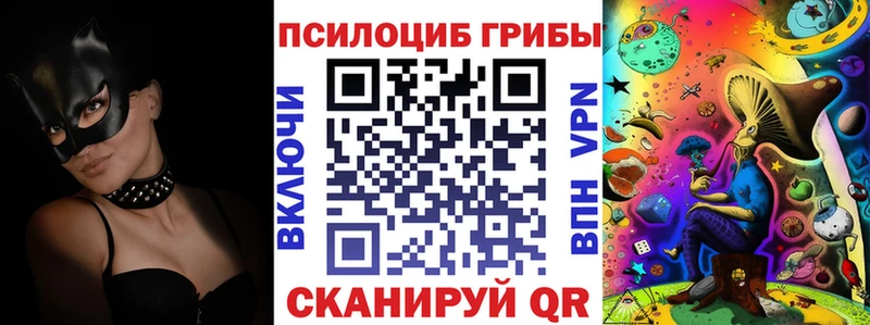 продажа наркотиков  Зея  OMG ONION  Псилоцибиновые грибы прущие грибы 